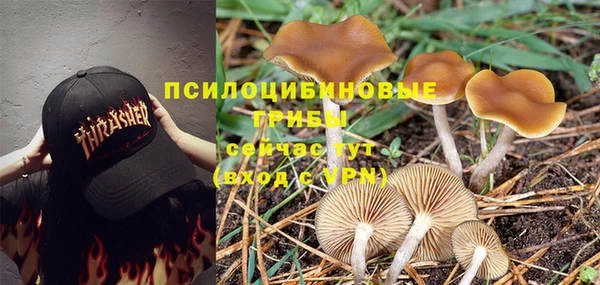 герыч Инсар