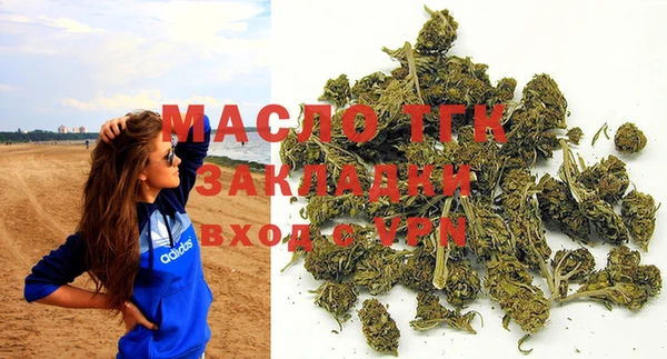 гашик Инта
