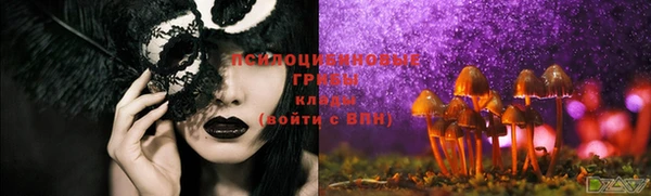гашик Инта