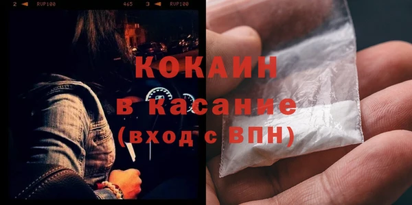 гашик Инта