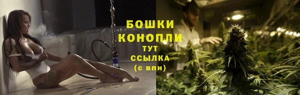 гашик Инта