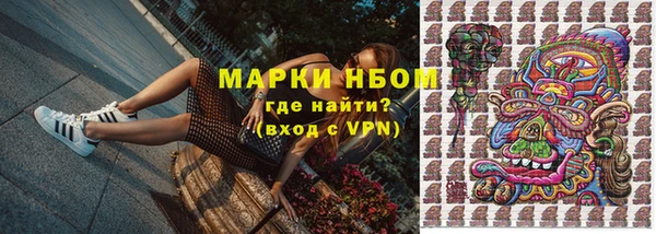 гашик Инта