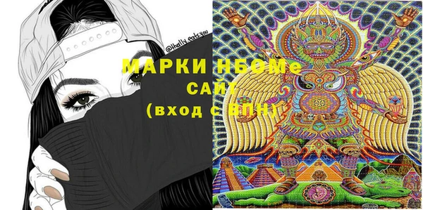 гашик Инта