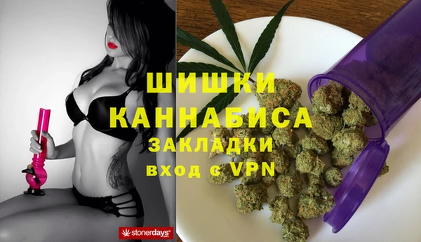 гашик Инта