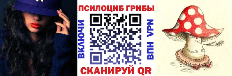 Купить закладки  Североуральск  Псилоцибиновые грибы GOLDEN TEACHER 